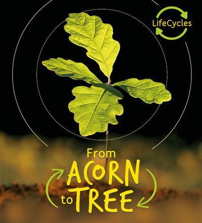 Lifecycles - Acorn to Tree - Life Cycles - Camilla De La Bedoyere - Books - QED Publishing - 9780711243682 - August 20, 2019