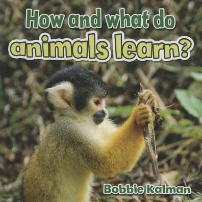 How and What Do Animals Learn - Animals Close-Up - Bobbie Kalman - Books - Crabtree Publishing Co,US - 9780778714682 - February 28, 2015