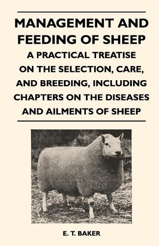 Cover for E. T. Baker · Management and Feeding of Sheep - a Practical Treatise on the Selection, Care, and Breeding, Including Chapters on the Diseases and Ailments of Sheep (Pocketbok) (2010)