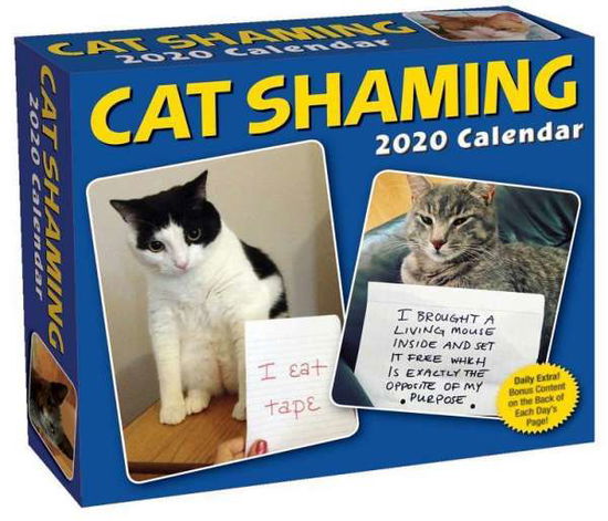 Cat Shaming 2020 Day-to-Day Calendar - Pedro Andrade - Gadżety - Andrews McMeel Publishing - 9781449497682 - 6 sierpnia 2019