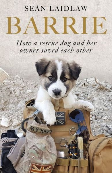 Cover for Sean Laidlaw · Barrie: How a rescue dog and her owner saved each other (Paperback Book) (2020)