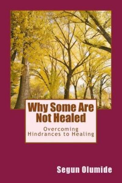 Cover for Apst Segun Olumide · Why Some Are Not Healed (Taschenbuch) (2016)
