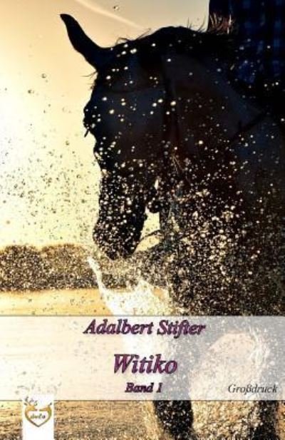 Cover for Adalbert Stifter · Witiko (Grossdruck) (Paperback Bog) (2017)