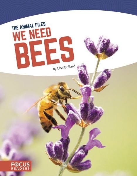 Animal Files: We Need Bees - Lisa Bullard - Libros - North Star Editions - 9781641853682 - 2019