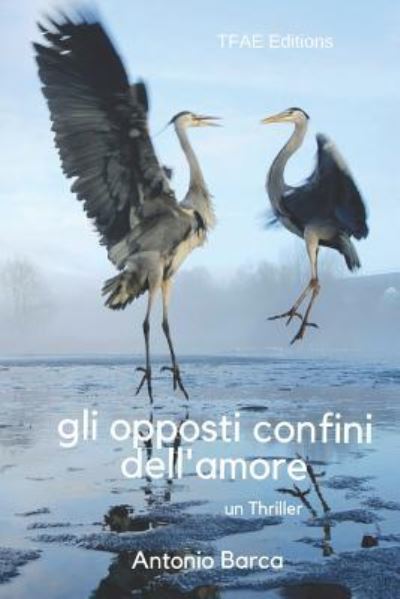 Cover for Antonio Barca · Gli Opposti Confini Dell'amore (Paperback Book) (2018)