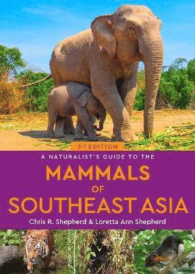 A Naturalist's Guide to the Mammals of Southeast Asia - Naturalists' Guides - Chris Shepherd - Books - John Beaufoy Publishing Ltd - 9781913679682 - October 31, 2024