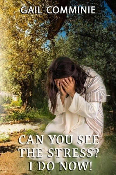 Cover for Gail Comminie · Can You See the Stress? I Do Now! (Paperback Book) (2018)