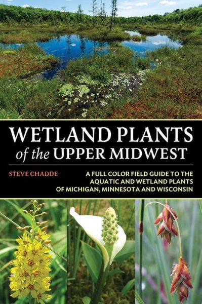 Cover for Steve W Chadde · Wetland Plants of the Upper Midwest (Paperback Book) (2022)