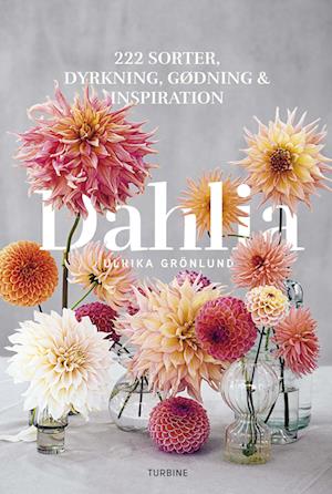 Cover for Ulrika Grönlund · Dahlia (Hardcover Book) [1. wydanie] (2022)