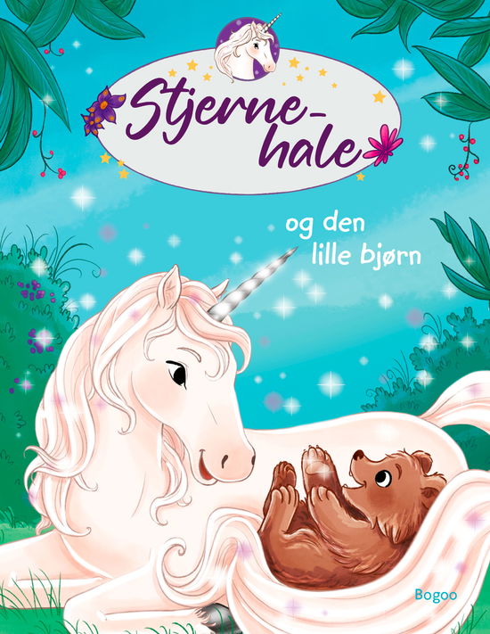 Linda Chapman · Stjernehale og den lille bjørn (Hardcover Book) [1st edition] (2024)