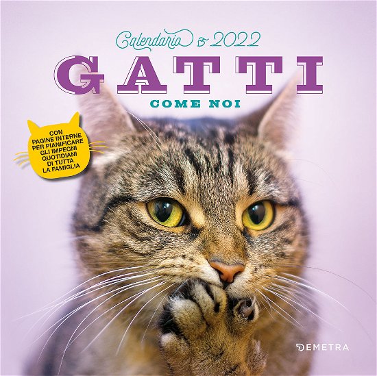 Cover for Aa Vv · Calendario 2022 Gatti Come Noi (Blu-ray)