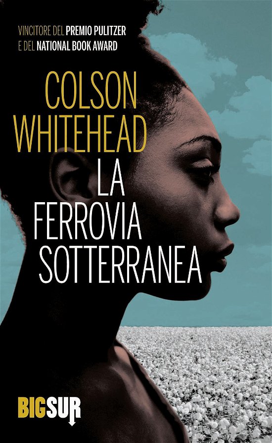 Cover for Colson Whitehead · La Ferrovia Sotterranea (Bok)