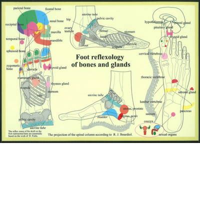 Cover for Jan van Baarle · Foot Reflexology of Bones &amp; Glands -- A4 (Plakat) (2010)