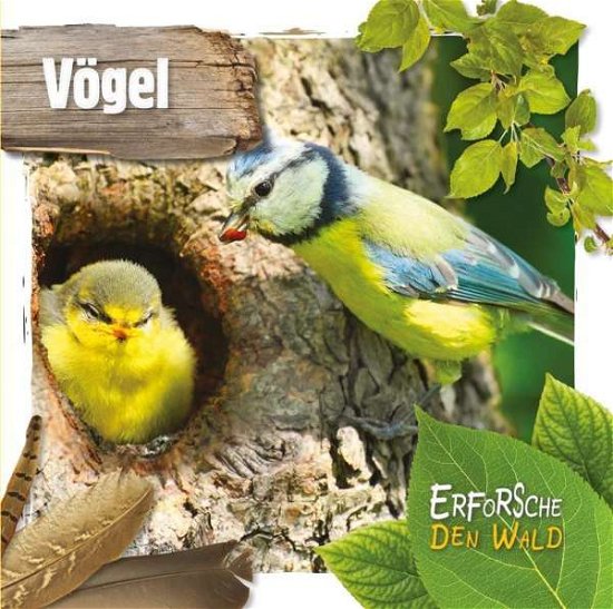Cover for Twiddy · Vögel, m. 1 Buch, m. 1 Beilage (Bog)