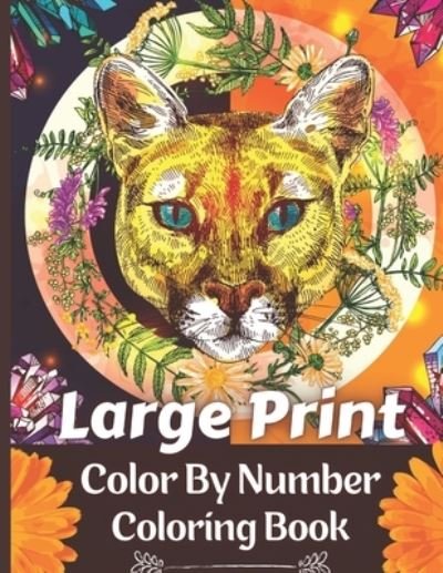 Cover for Mary Mary · Large Print Color By Number Coloring Book (Paperback Bog) (2021)