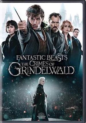 Cover for Fantastic Beasts: Crimes of Grindelwald (DVD) (2019)