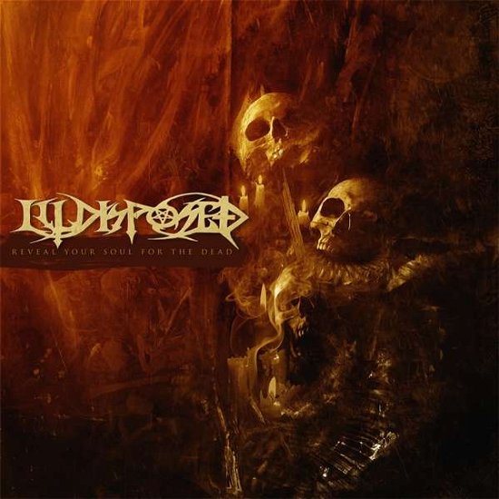 Cover for Illdisposed · Reveal Your Soul for the Dead (LP) (2019)