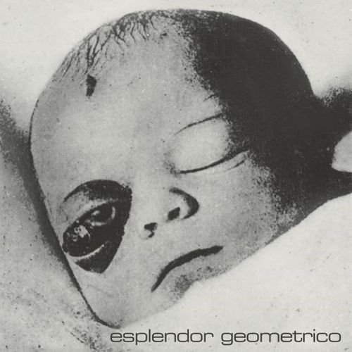 Cover for Esplendor Geometrico · Necrosis En La Poya (7&quot;) (2020)