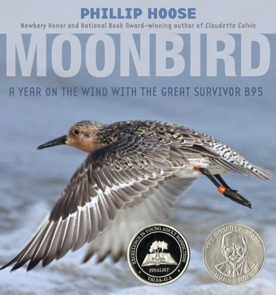 Cover for Phillip Hoose · Moonbird: A Year on the Wind with the Great Survivor B95 (Hardcover Book) (2012)