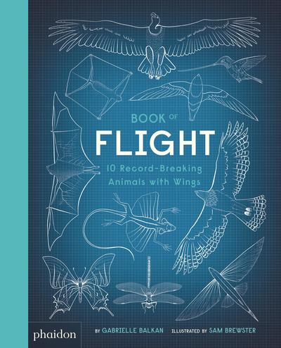 Cover for Gabrielle Balkan · Book of Flight: 10 Record-Breaking Animals with Wings (Innbunden bok) (2019)