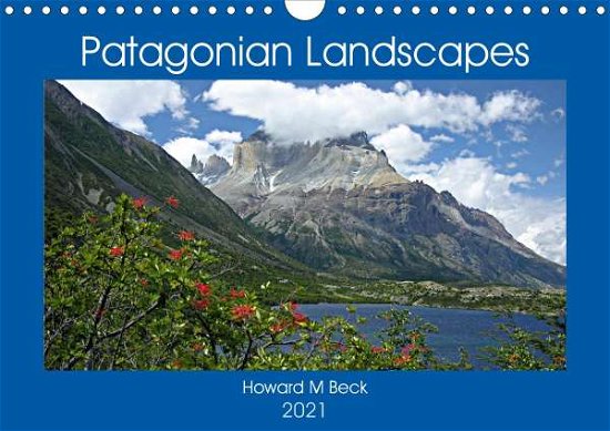 Cover for Beck · Patagonian Landscapes (Wall Calend (Bok)