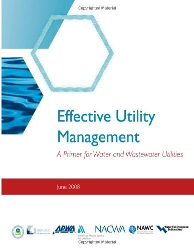 Cover for Environmental Protection Agency · Effective Utility Management: a Primer for Water and Wastewater Utilities (Paperback Bog) (2012)