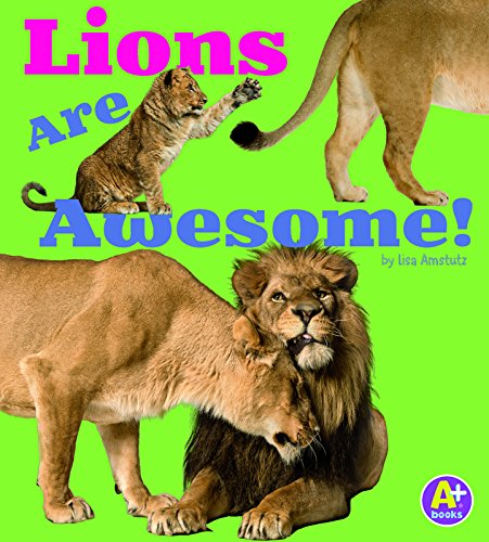 Cover for Lisa J. Amstutz · Lions are Awesome (Awesome African Animals!) (Paperback Book) (2015)