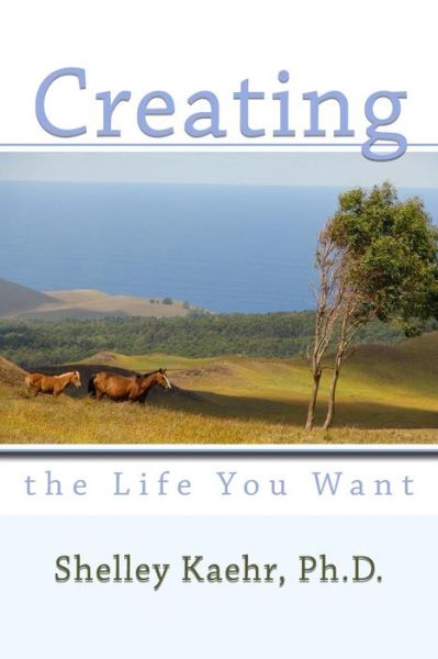 Cover for Shelley Kaehr · Creating the Life You Want (Paperback Book) (2015)