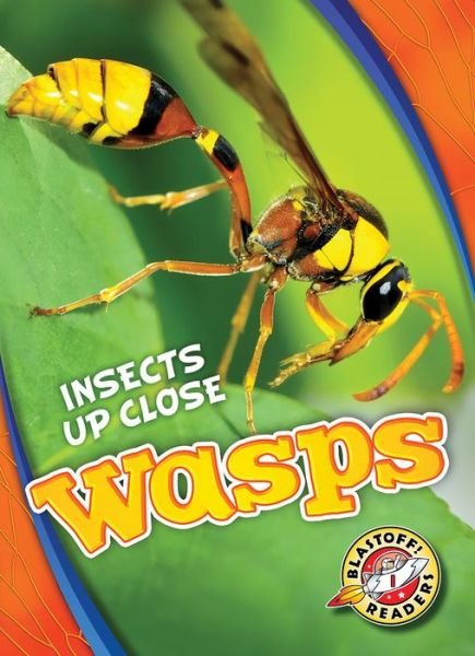 Cover for Patrick Perish · Wasps - Insects Up Close (Hardcover Book) (2017)
