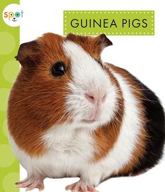 Cover for Mari C Schuh · Guinea Pigs (Hardcover Book) (2018)