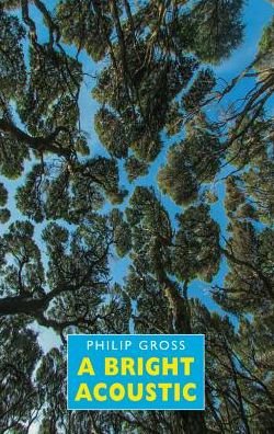Cover for Philip Gross · A Bright Acoustic (Paperback Book) (2017)