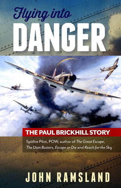 Cover for John Ramsland · Flying into Danger (Pocketbok) (2016)