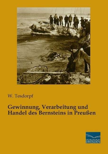 Cover for Tesdorpf · Gewinnung, Verarbeitung und Ha (Bog)