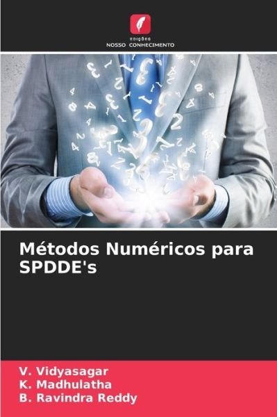 Cover for V Vidyasagar · Metodos Numericos para SPDDE's (Paperback Book) (2021)