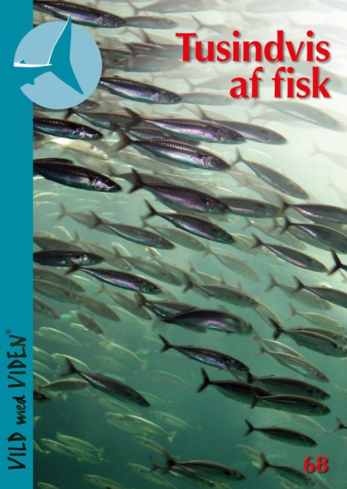 Cover for Lasse Rosendahl · Vild med Viden, Serie 9 Danske vanddyr: Tusindvis af fisk (Hæftet bog) (2018)