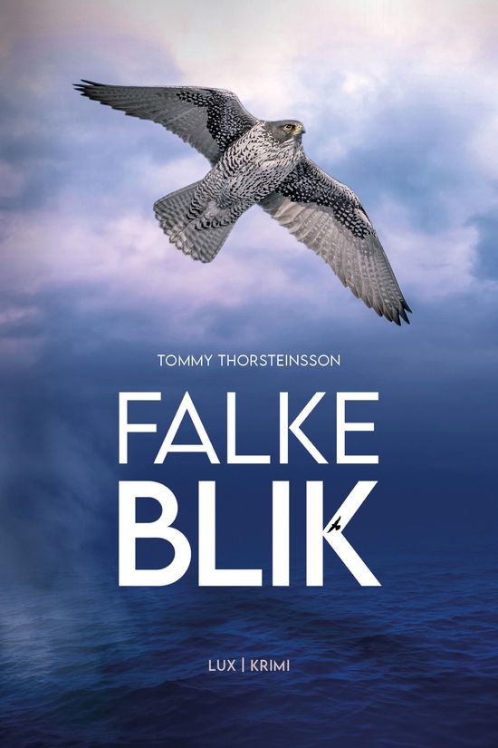 Cover for Tommy Thorsteinsson · Blaafalk: Falkeblik (Sewn Spine Book) [1st edition] (2021)