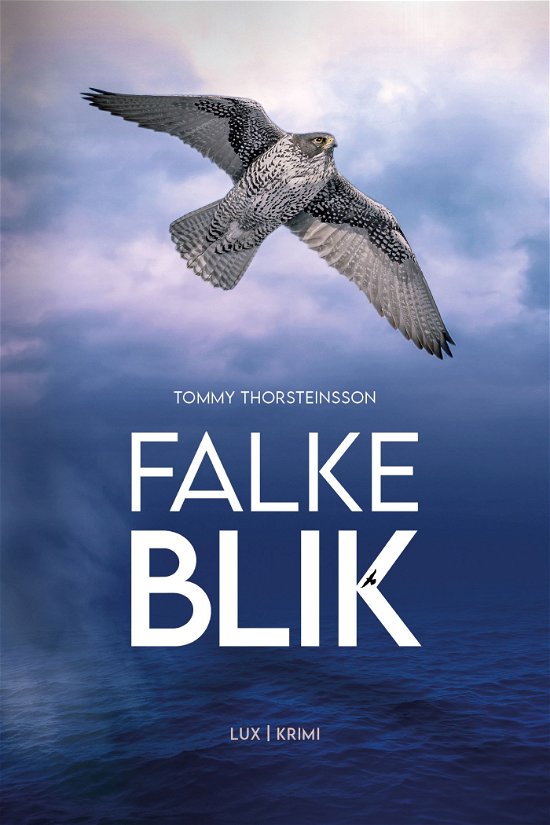 Cover for Tommy Thorsteinsson · Blaafalk: Falkeblik (Poketbok) [1:a utgåva] (2021)