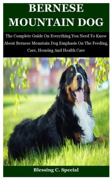 Cover for Blessing C Special · Bernese Mountain Dog: The Complete Guide On Everything You Need To Know About Bernese Mountain Dog Emphasis On The Feeding, Care, Housing And Health Care (Paperback Book) (2021)