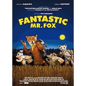 Fantastic Mr Fox - Movie - Film - FOX - 3344428039684 - 