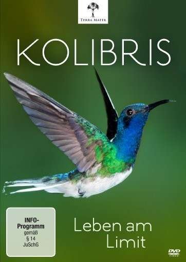 Cover for Kolibris-leben Am Limit (DVD) (2013)