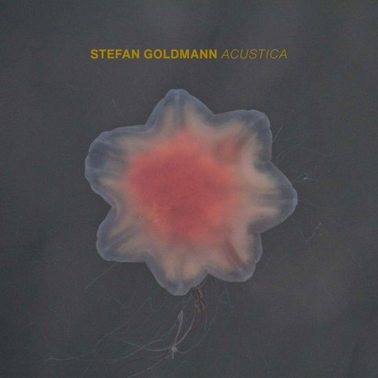 Acustica - Stefan Goldmann - Muzyka - MACROLON - 4251804143684 - 5 stycznia 2024