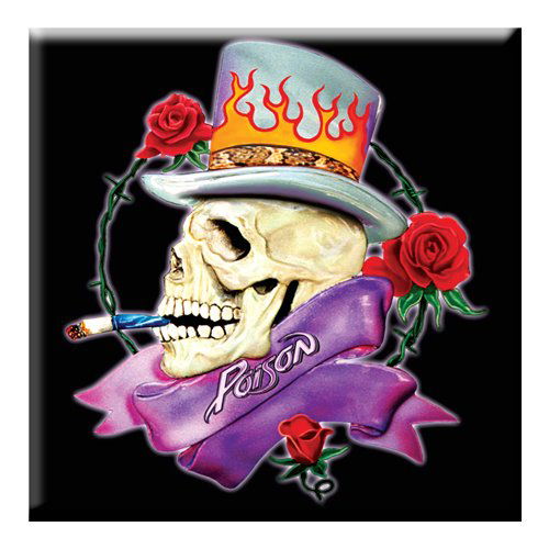 Poison Fridge Magnet: Skull - Poison - Produtos - Epic Rights - 5055295306684 - 17 de outubro de 2014