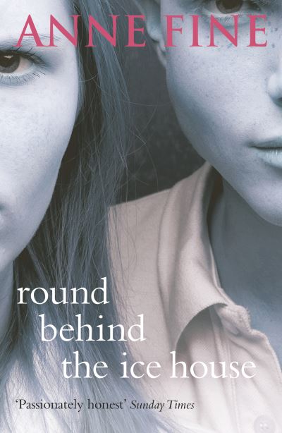 Round Behind The Ice House - Anne Fine - Books - Penguin Random House Children's UK - 9780552552684 - June 1, 2006