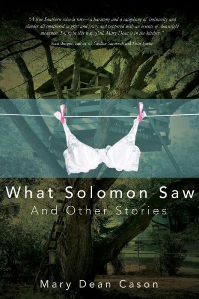 Cover for Mary  Dean Cason · What Solomon Saw and Other Stories (Paperback Book) (2014)