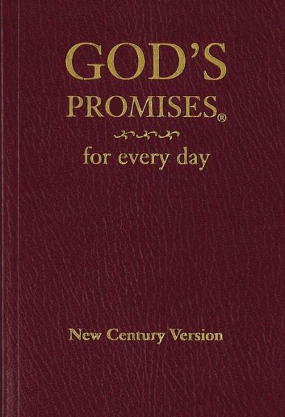 God's Promises for Every Day: Bible Verses for All Seasons of Life - Jack Countryman - Books - Thomas Nelson Publishers - 9780849962684 - November 15, 1996