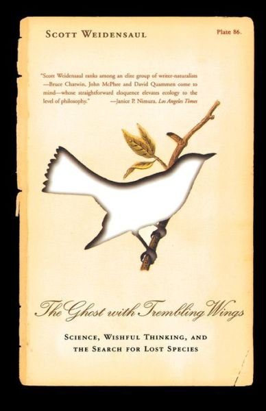 The Ghost with Trembling Wings: Science, Wishful Thinking and the Search for Lost Species - Scott Weidensaul - Kirjat - North Point Press - 9780865476684 - keskiviikko 11. kesäkuuta 2003