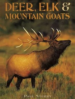 Cover for Paul Sterry · Deer, Elk &amp; Mountain Goats - Animals in the Wild (Hardcover bog) (2018)