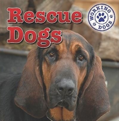 Cover for Kristen Rajczak · Rescue dogs (Book) (2011)