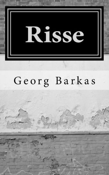 Cover for Georg Barkas · Risse (Paperback Book) (2016)