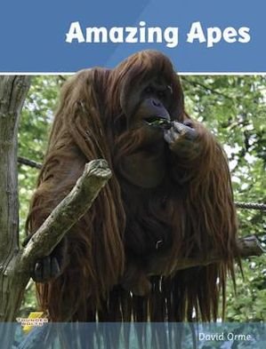 Cover for Orme David · Amazing Apes: Set 2 - Thunderbolts (Paperback Bog) (2019)